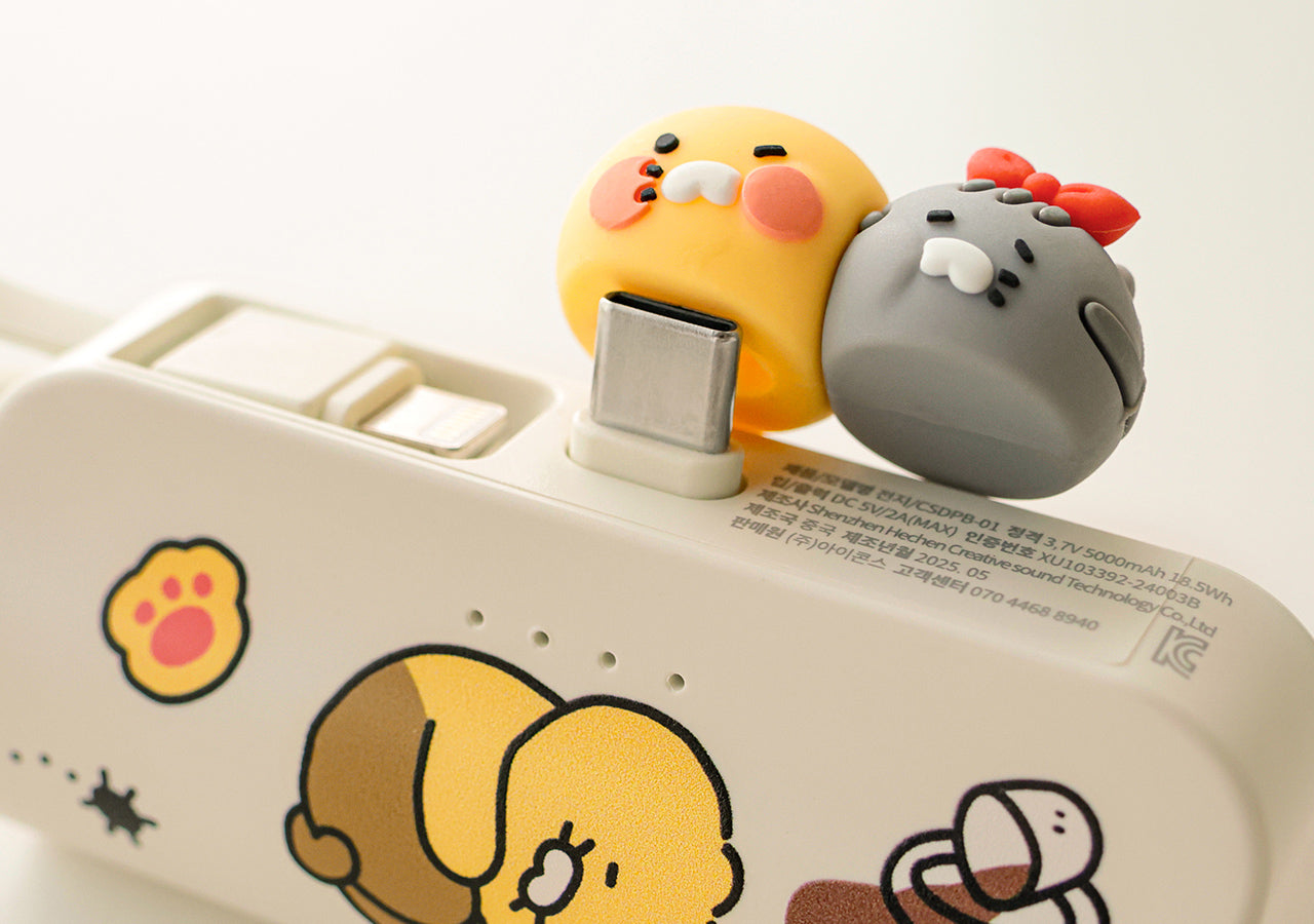 KAKAO FRIENDS - Batterie Externe 5,000 C Chunsik - Detail 10