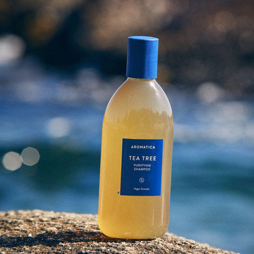 AROMATICA Tea Tree Purifying Shampoo disponible sur Ma petite Coree, ton Eshop 100% K-beauty en direct de Seoul