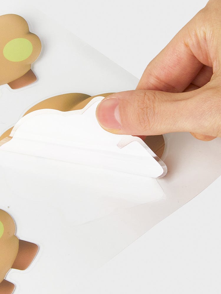 BT21 SHOOKY REMOVABLE STICKERS BIG & TINY EDITION : main applique des stickers décoratifs sur papeterie, LINE FRIENDS.