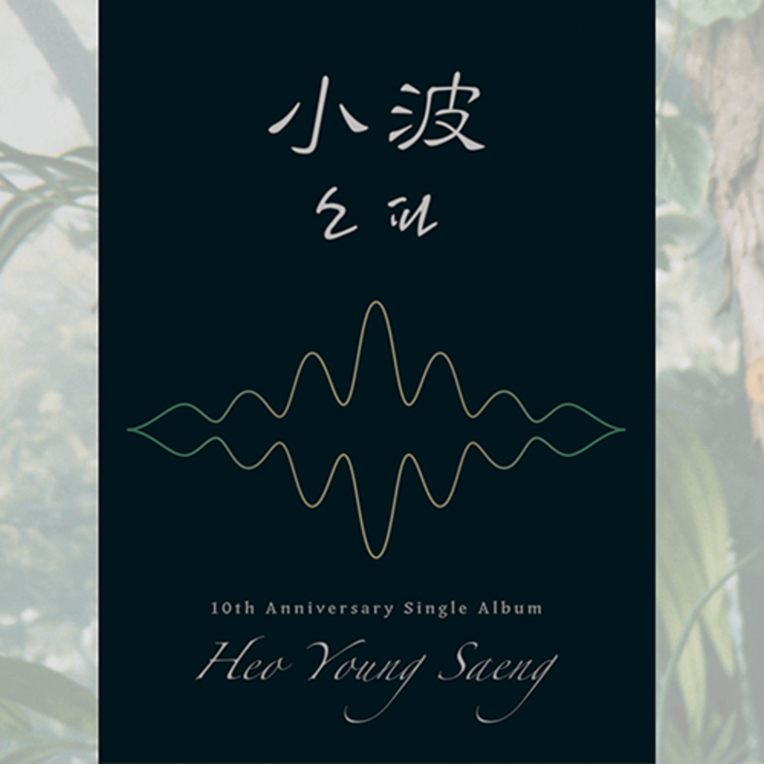 HEO YOUNGSEUNG - (小波) ( (小波) Ver.) - Album Kpop, couverture noire avec kanji 小波, illustration ondes et signature 10th Anniversary
