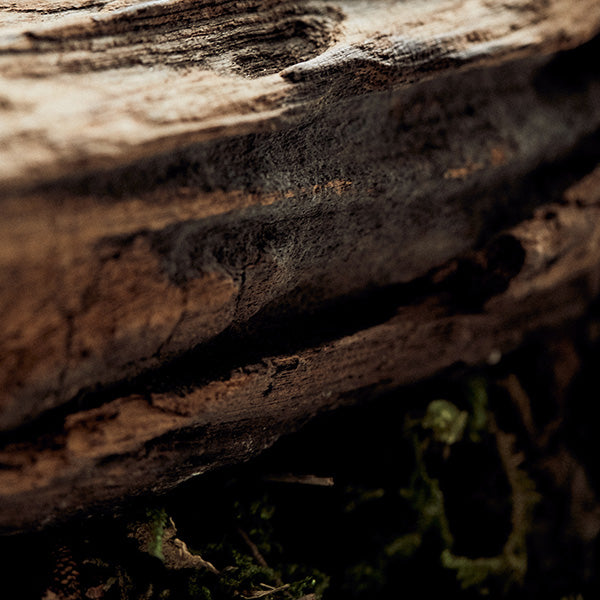 LONGTAKE Sandalwood Intensive Body Wash 300ml