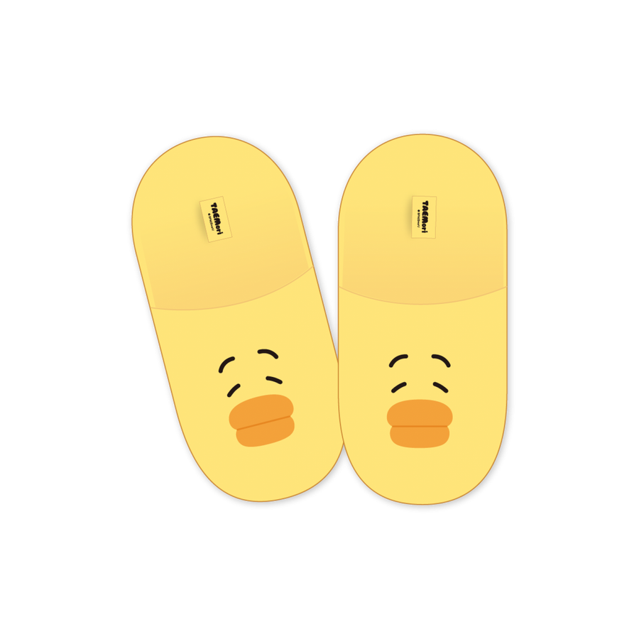 TAEMIN - Chaussons d'Intérieur - 2026 TAEMori POP-UP STORE Official MD