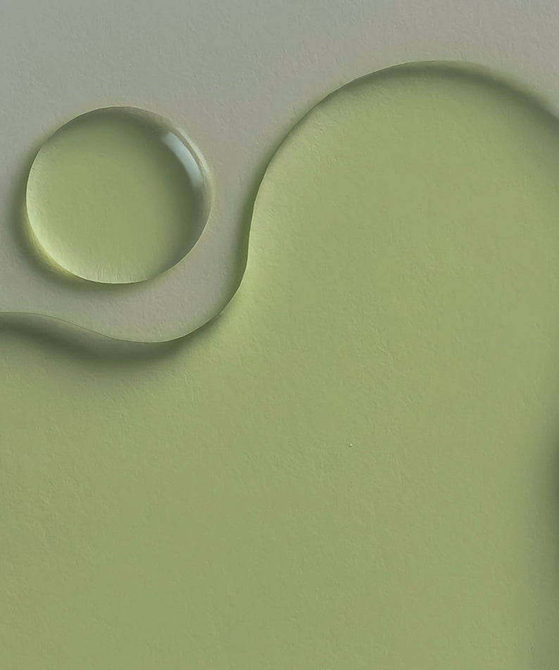 WHAMISA Cactus Inner Skin Moisture Bouncy Serum 52ml