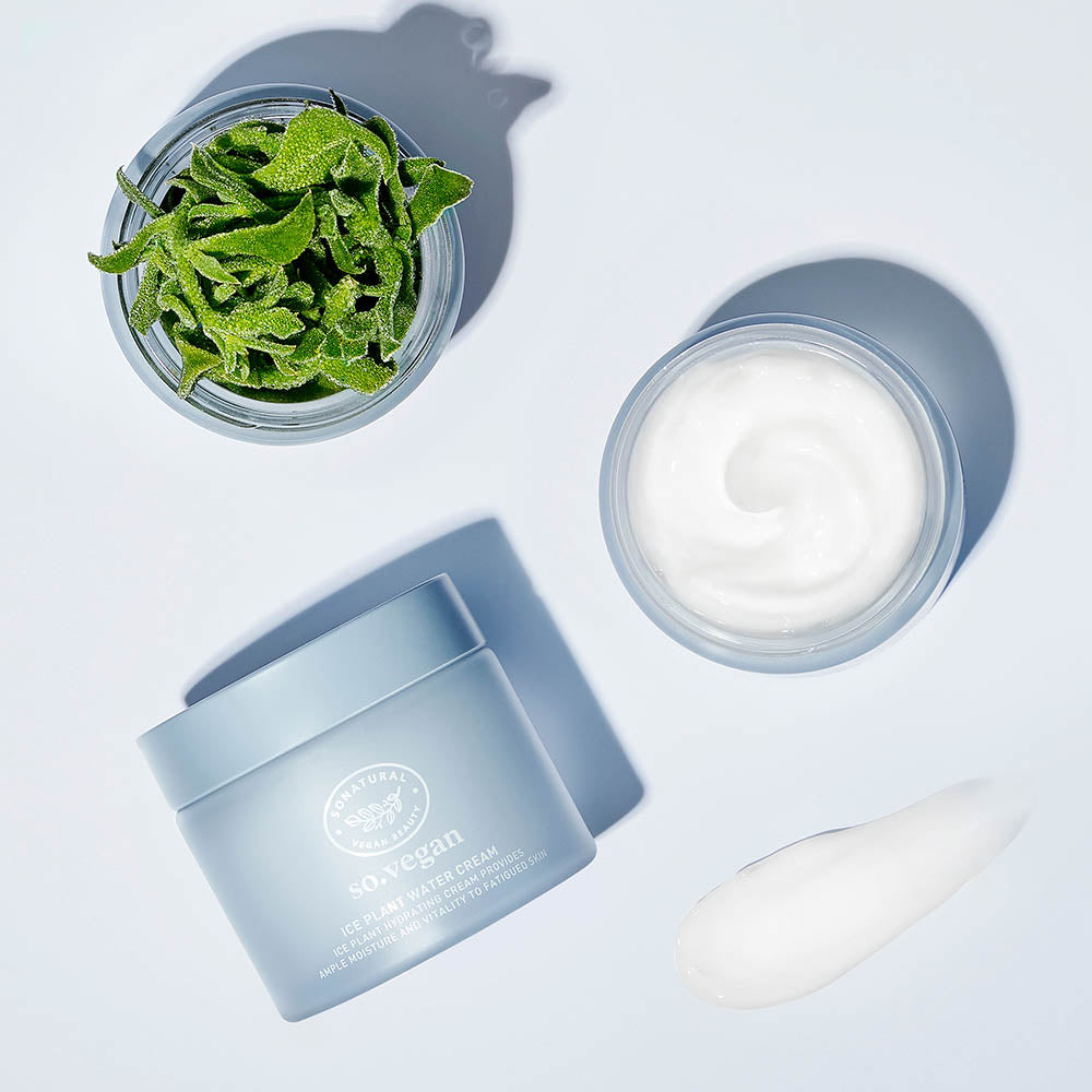 SO NATURAL Iceplant Water Cream 70ml