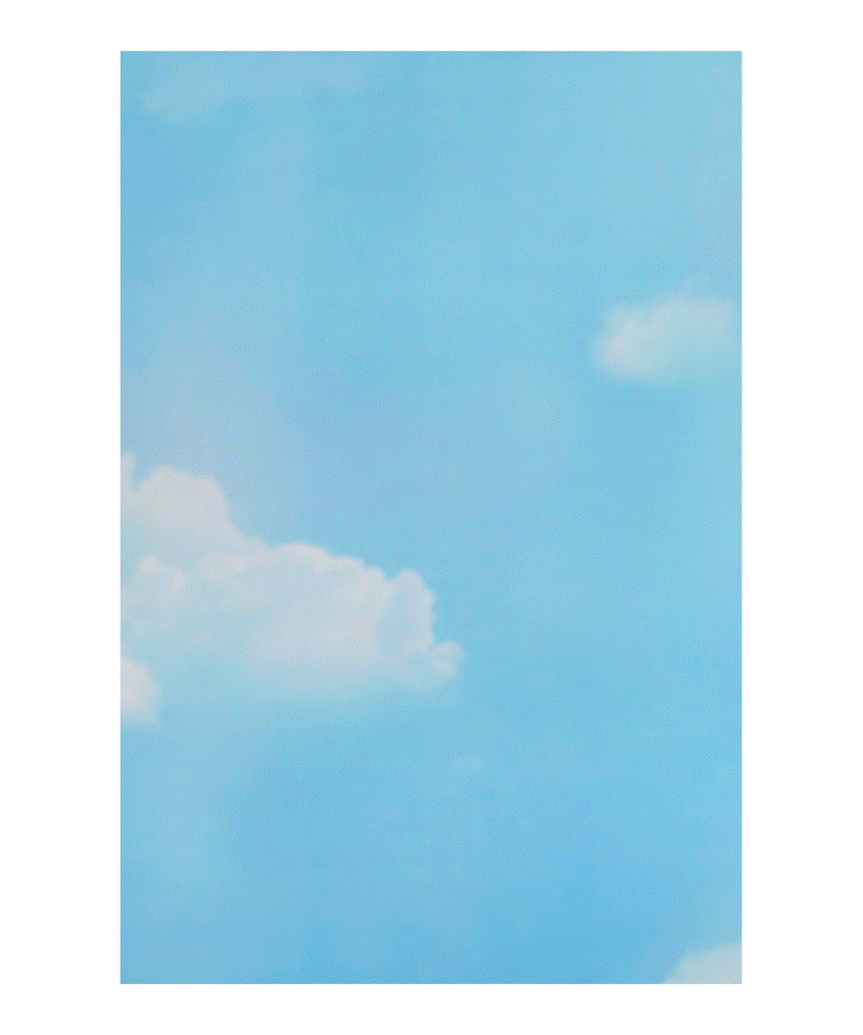 Porte-cles Acrylique Friends - Kakao Friends