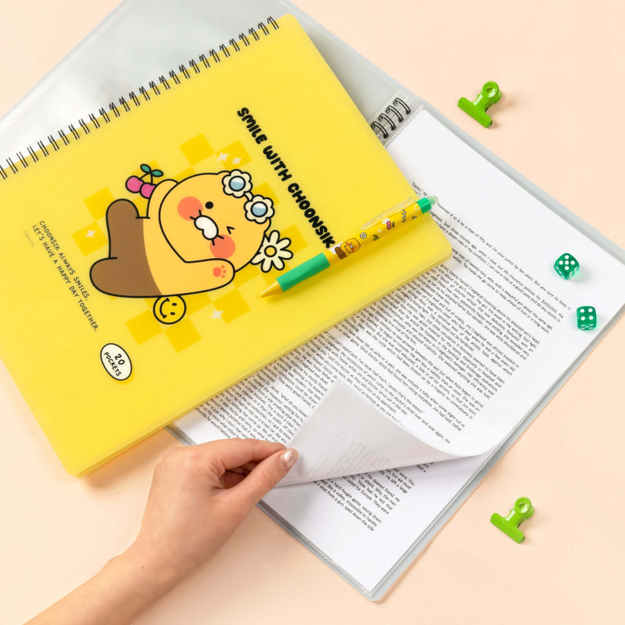 KAKAO FRIENDS - Chunsik