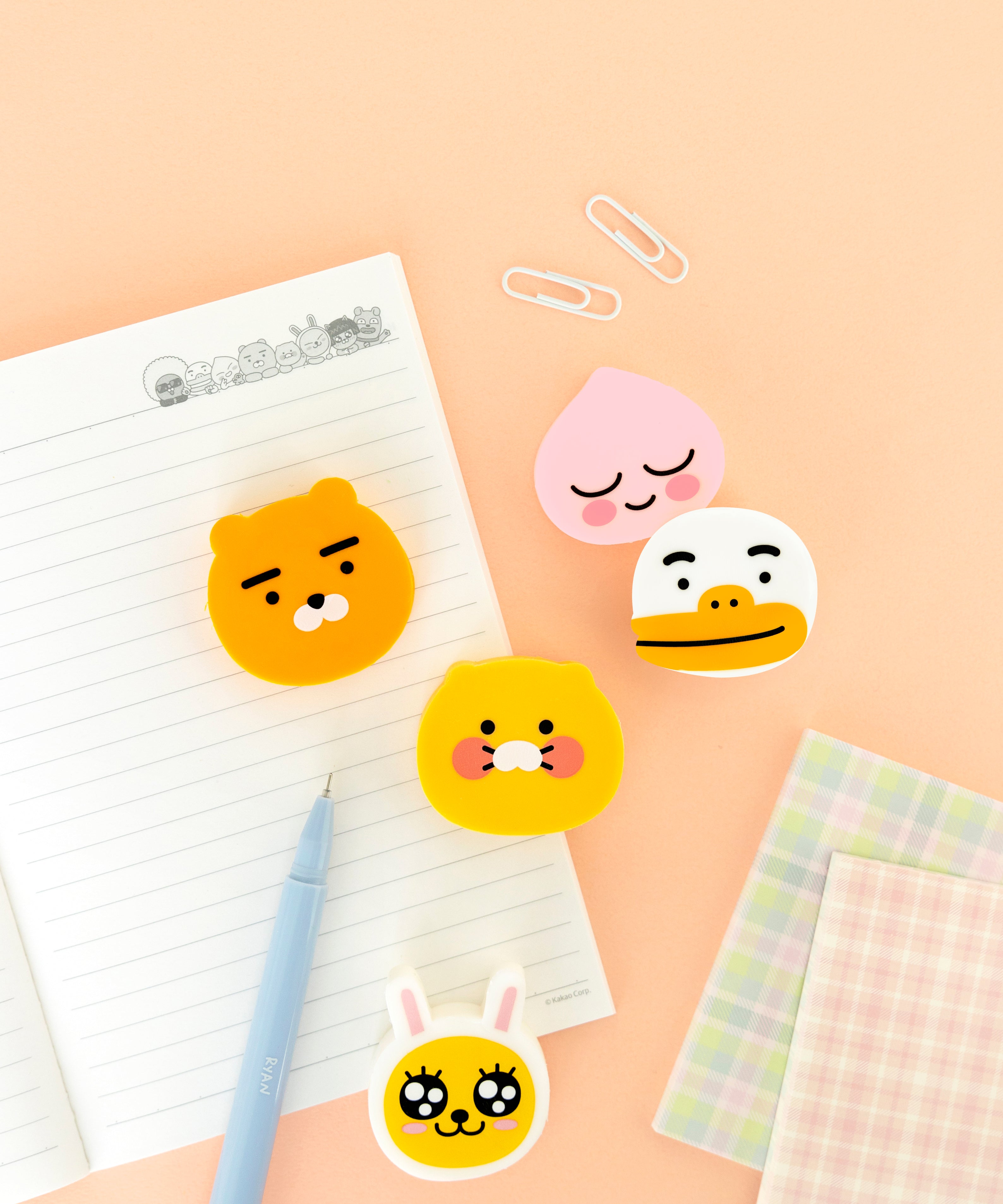 KAKAO FRIENDS - Chunsik Gomme - Detail 7