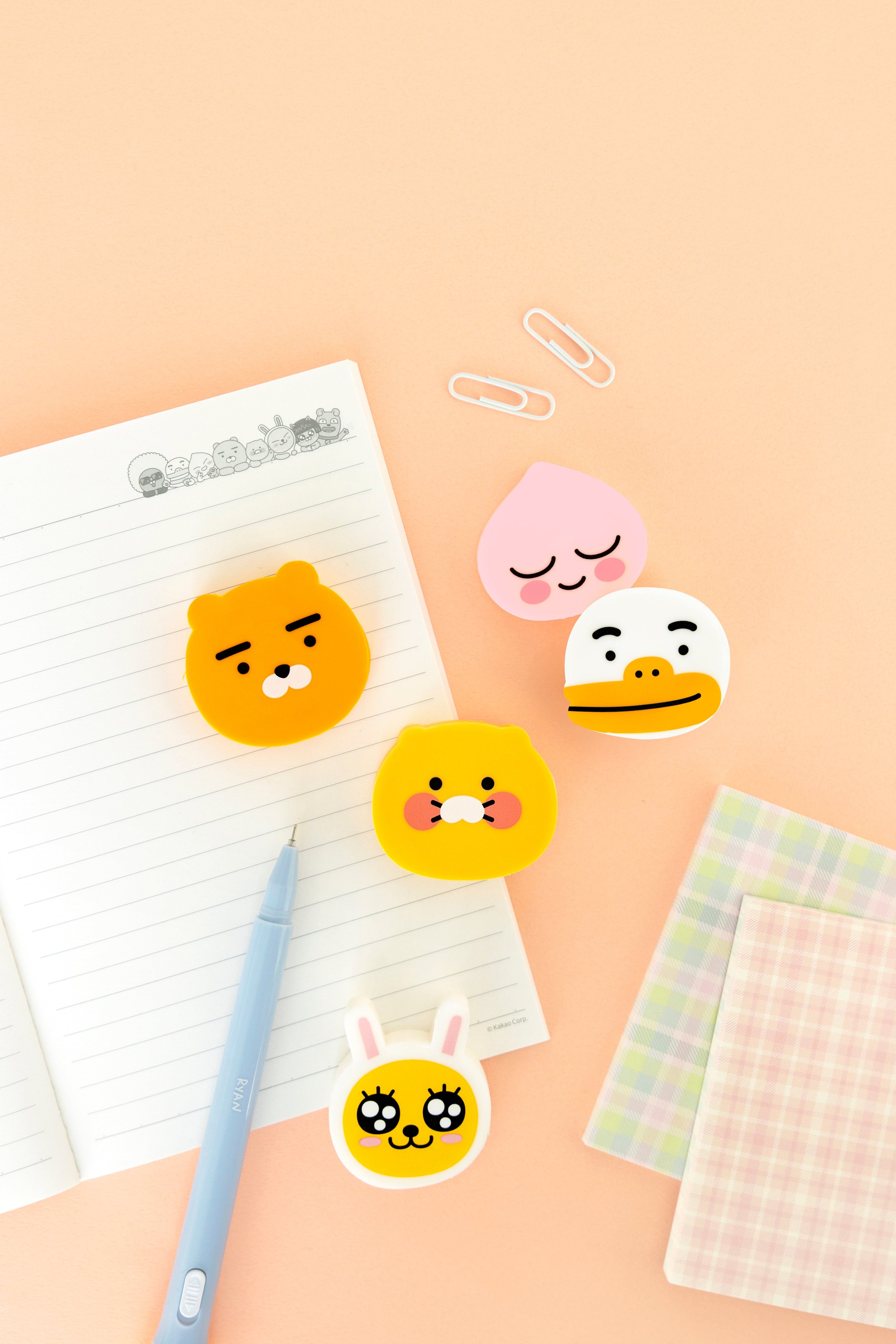 KAKAO FRIENDS - Chunsik Gomme - Detail 7