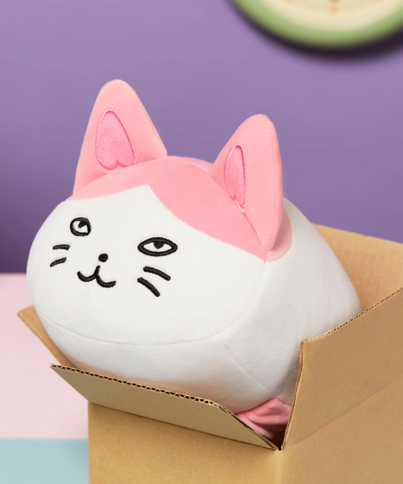 KAKAO FRIENDS - Coussin