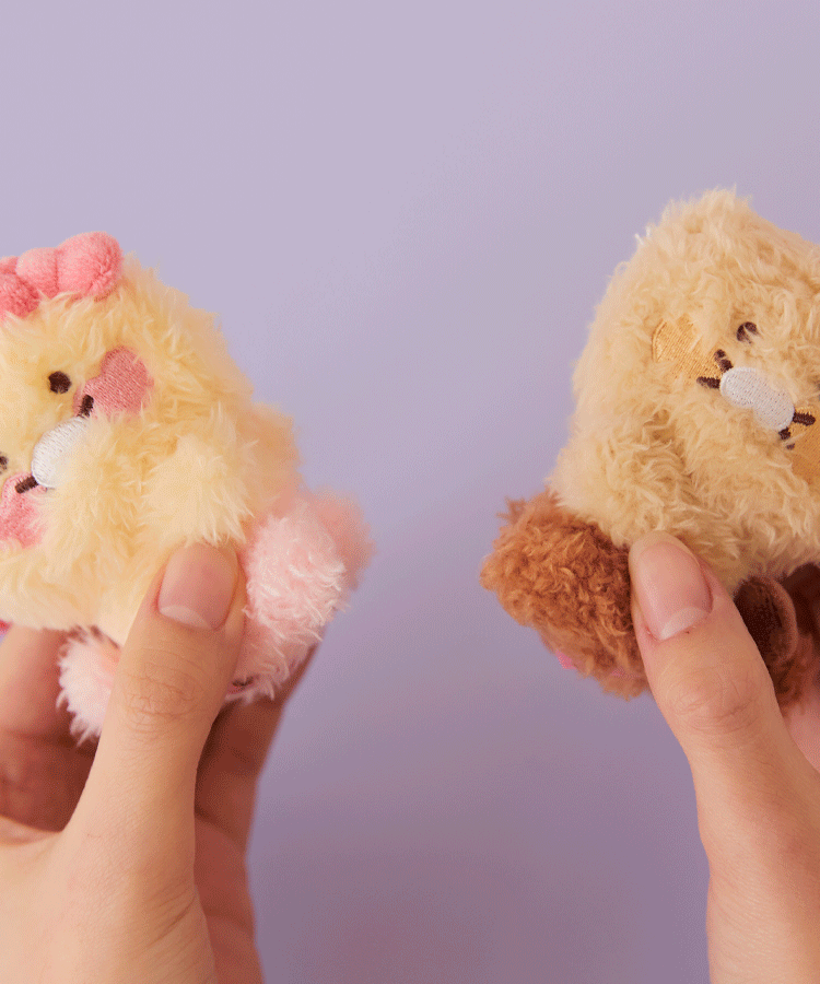 Set Peluche Porte-cles Chunsik - Kakao Friends