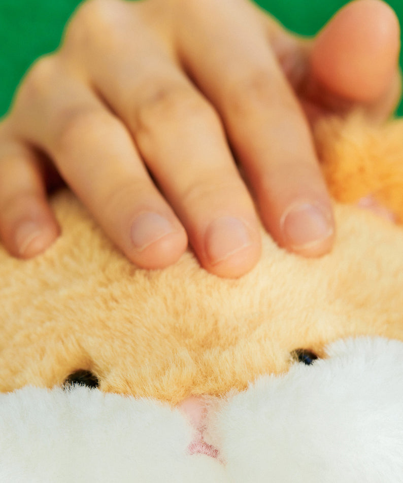 KAKAO FRIENDS - FRIENDZOO Peluche Chunsik - Detail 7