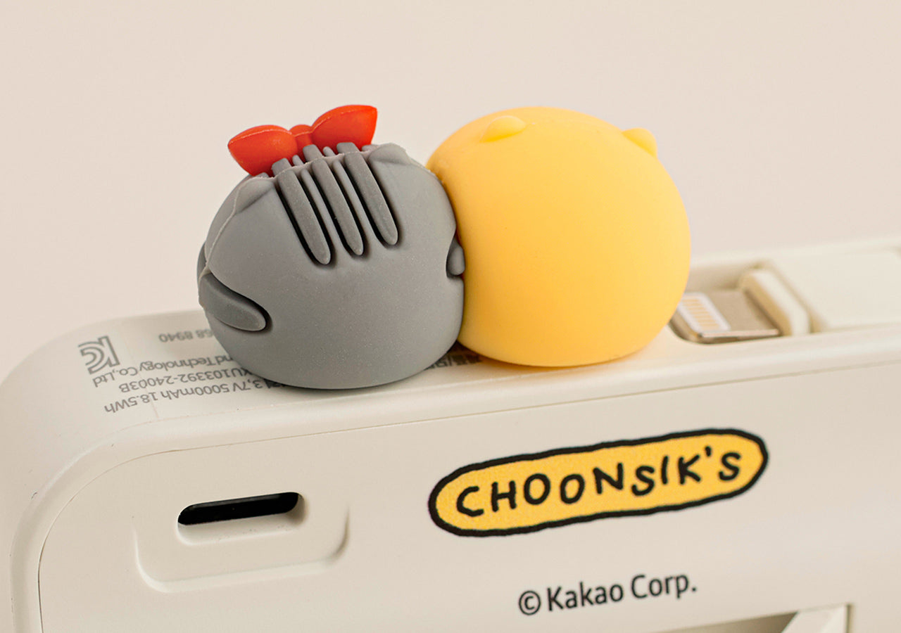 KAKAO FRIENDS - Batterie Externe 5,000 C Chunsik - Detail 5