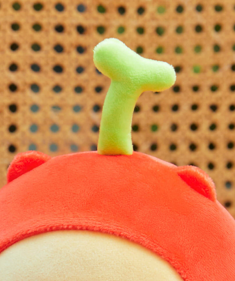 Article Chunsik - Kakao Friends