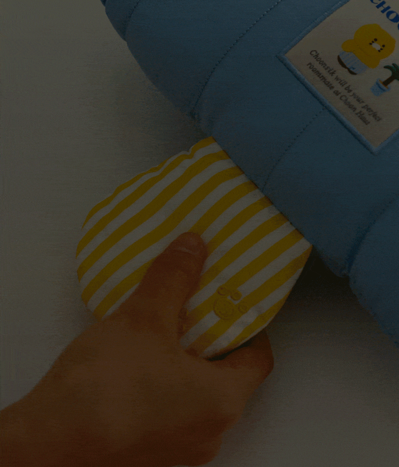 KAKAO FRIENDS - CHOONHOUSE Coussin Lampe Chunsik - Detail 8