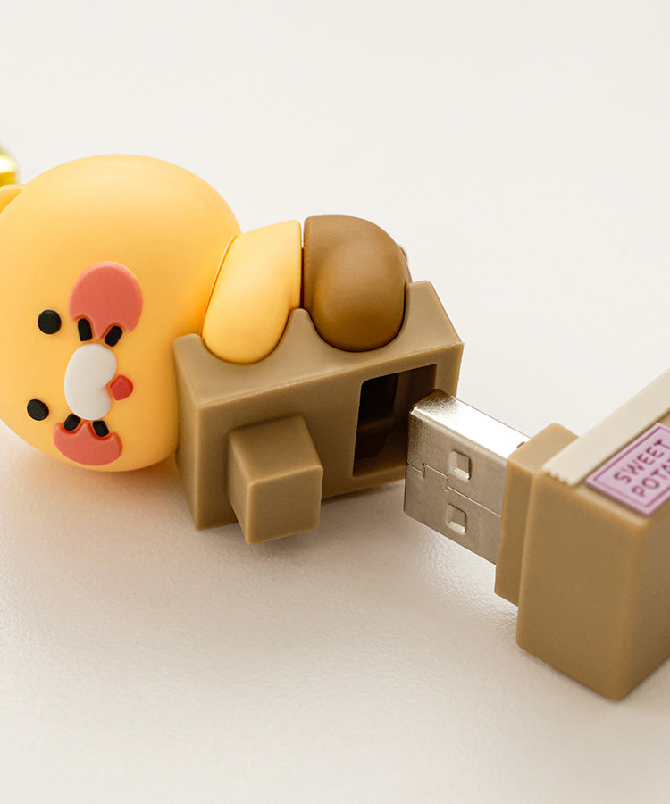 KAKAO FRIENDS - 64GB USB Figurine Porte-cles Chunsik - Detail 6