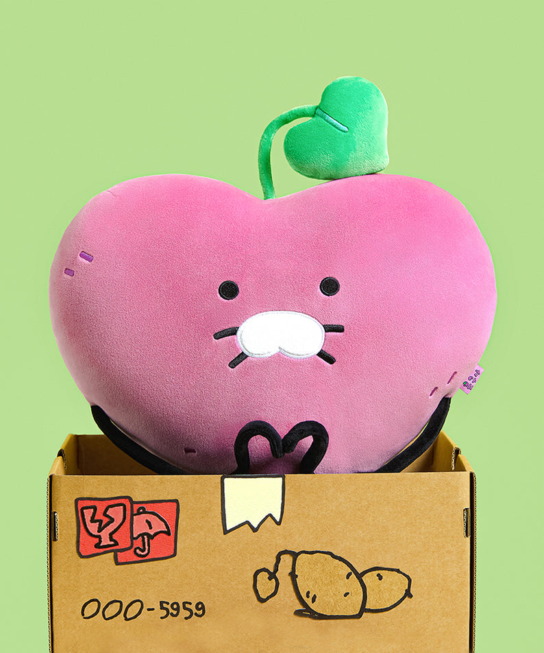 KAKAO FRIENDS - Coussin