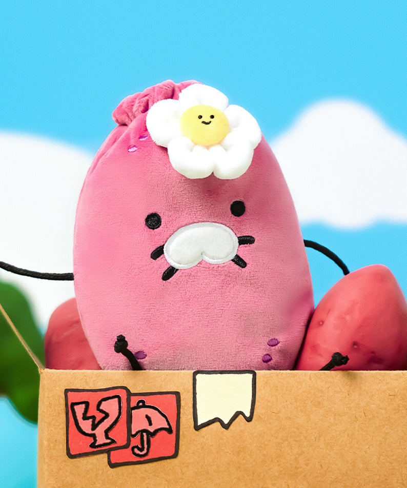 KAKAO FRIENDS - Pochette