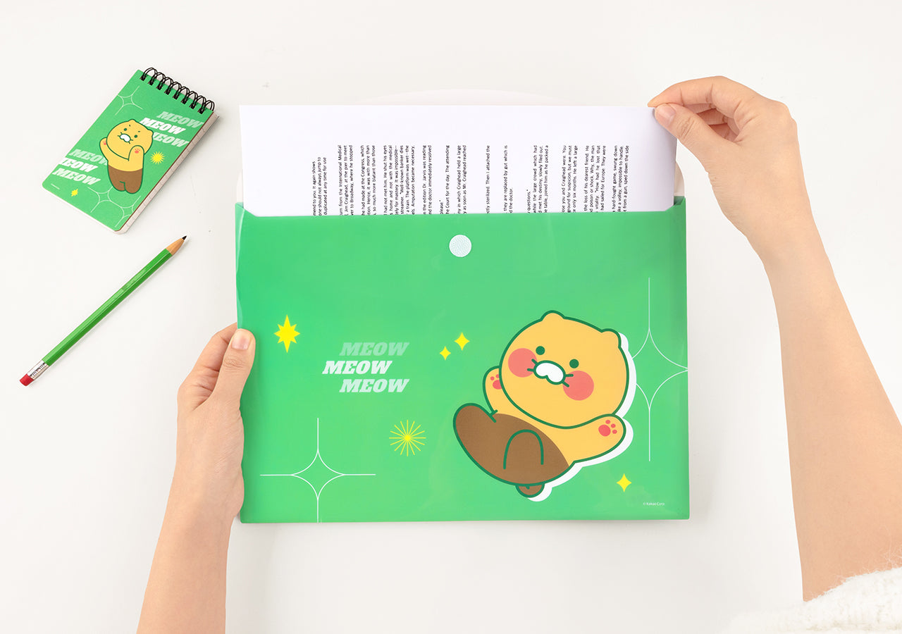 KAKAO FRIENDS - Chunsik - Detail 4