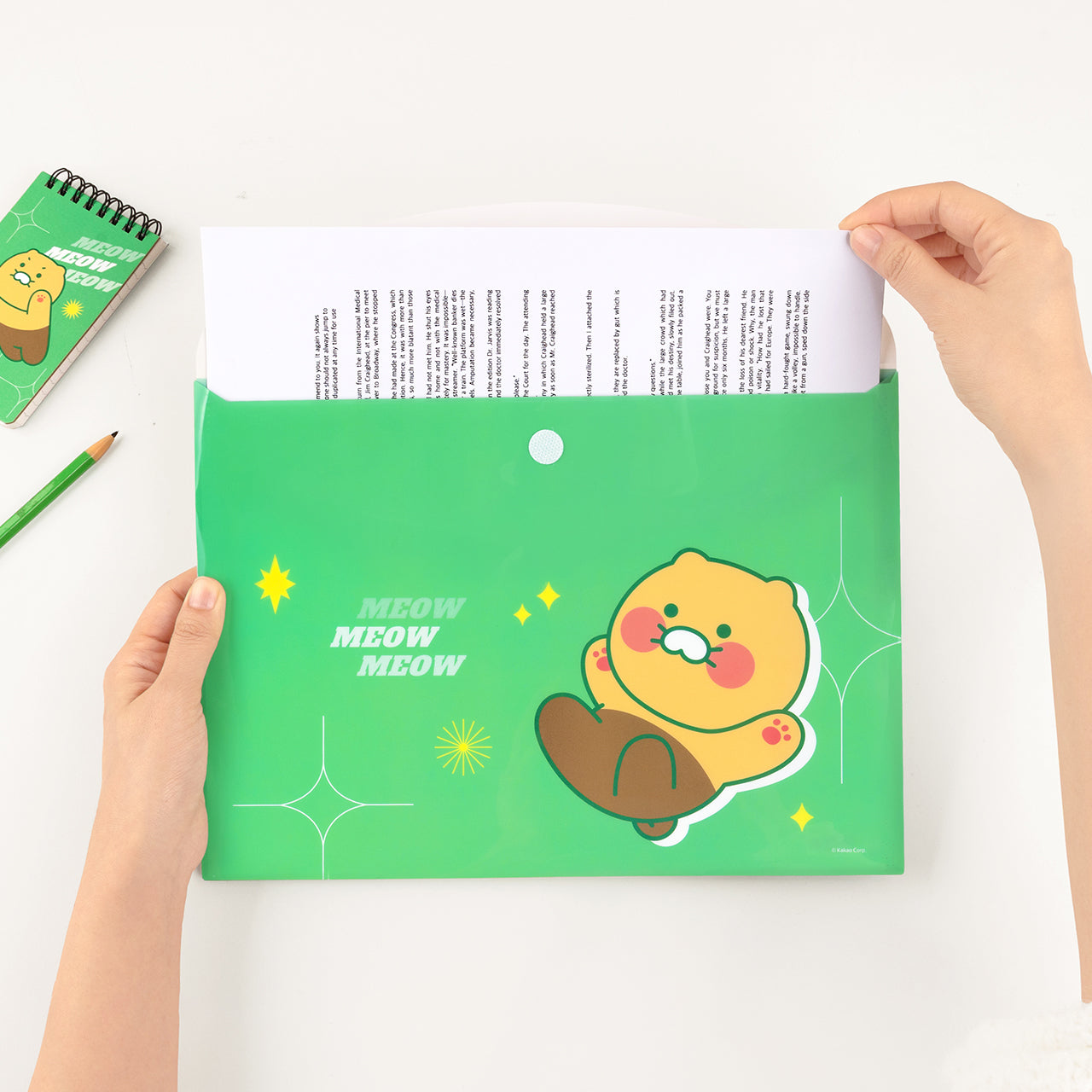 KAKAO FRIENDS - Chunsik