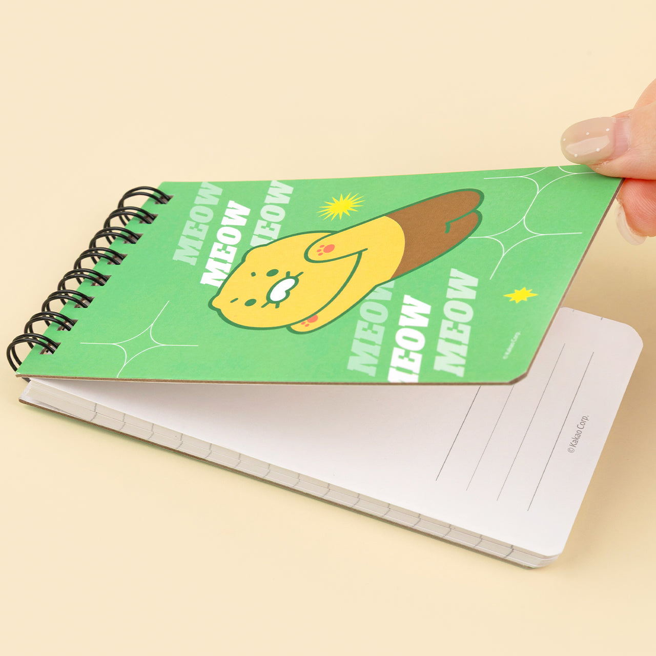 KAKAO FRIENDS - Chunsik