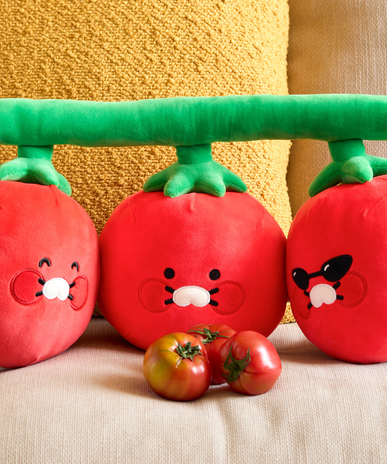 Coussin Chunsik - Kakao Friends