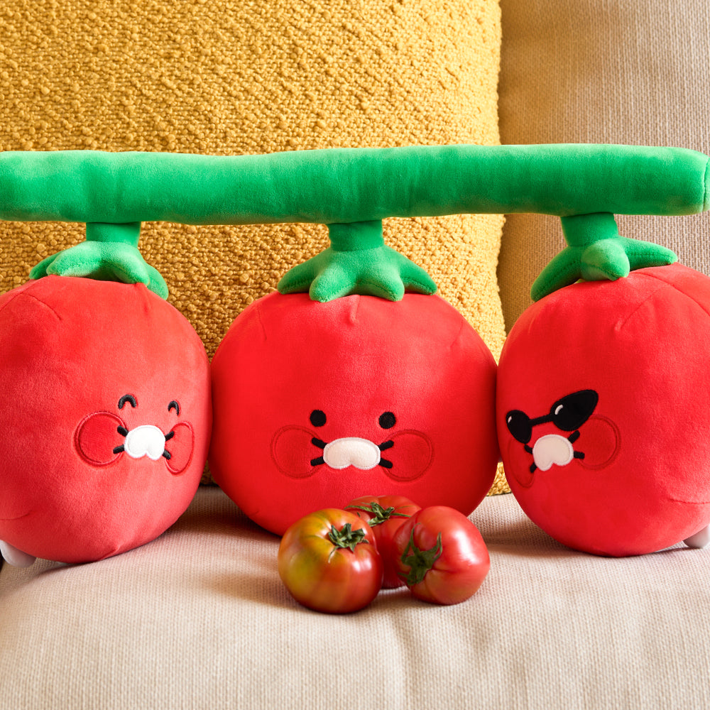 Coussin Chunsik - Kakao Friends