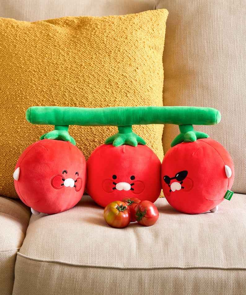 Coussin Chunsik - Kakao Friends