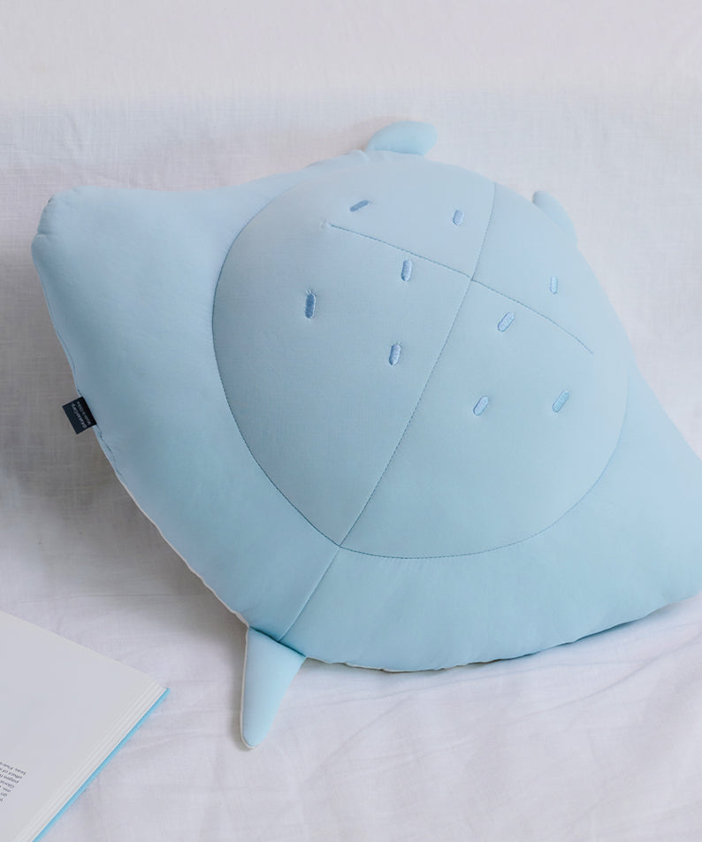 Coussin Rafraichissant Chunsik - Kakao Friends