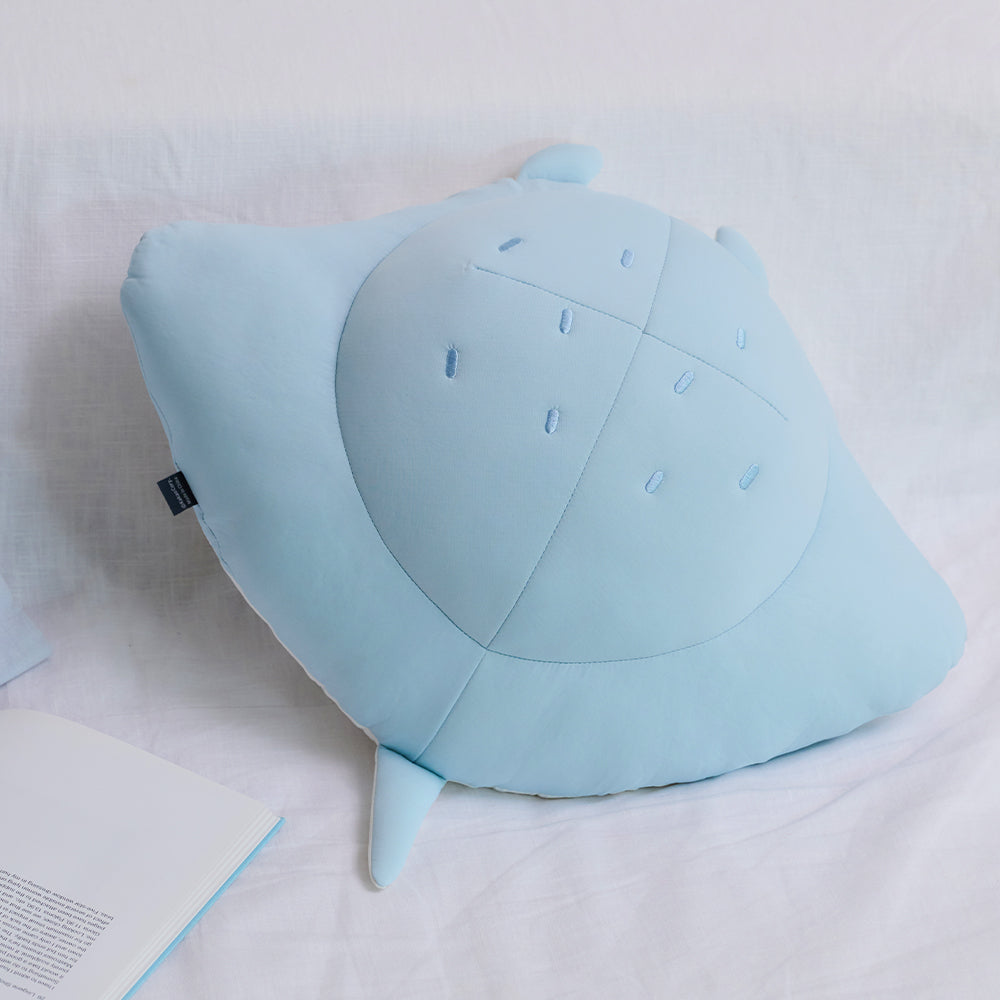 Coussin Rafraichissant Chunsik - Kakao Friends