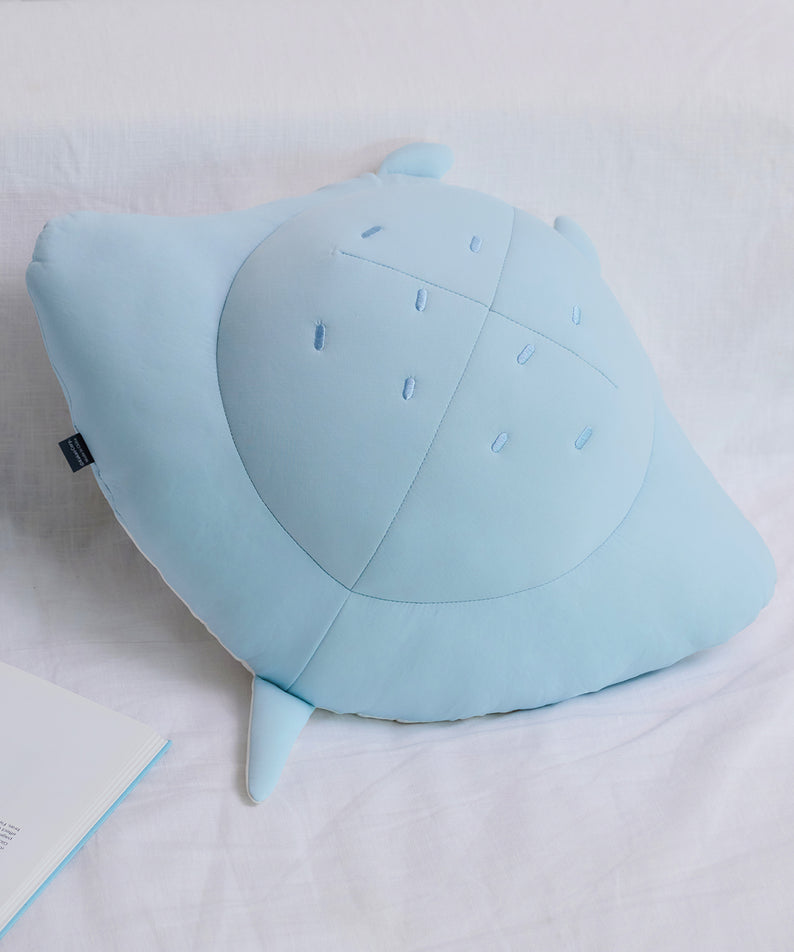 Coussin Rafraichissant Chunsik - Kakao Friends