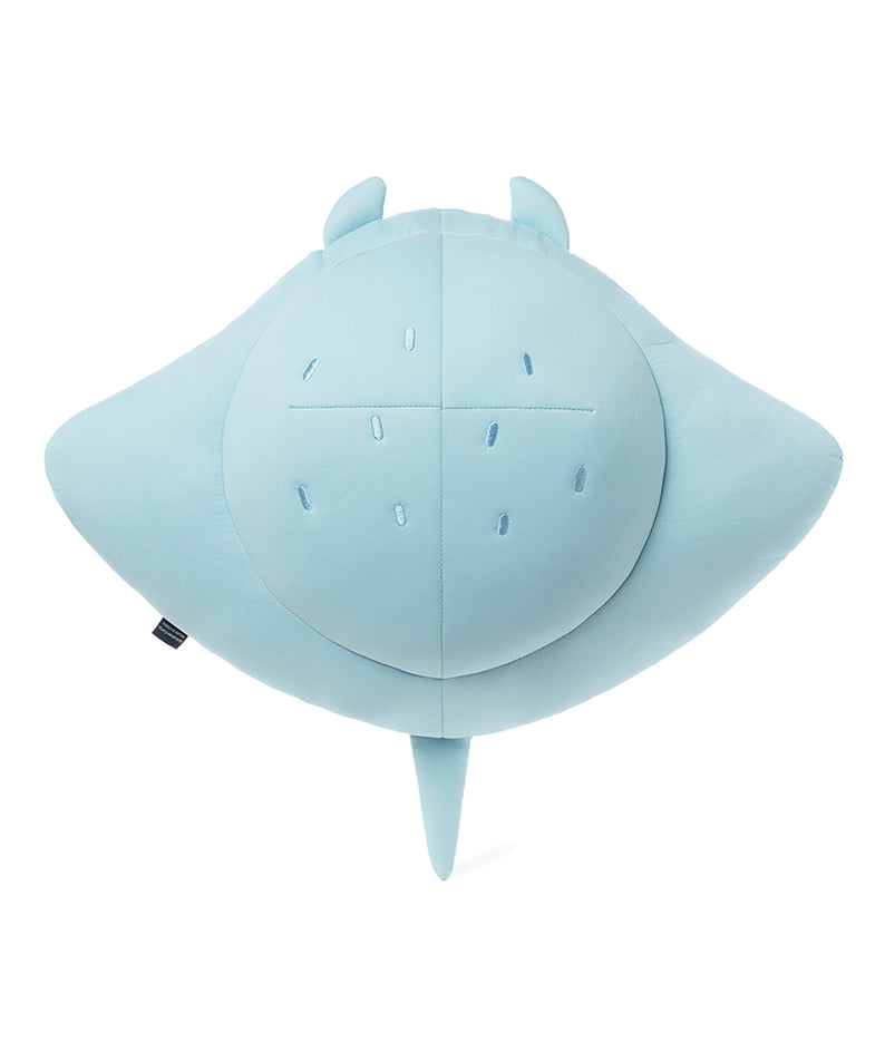 Coussin Rafraichissant Chunsik - Kakao Friends