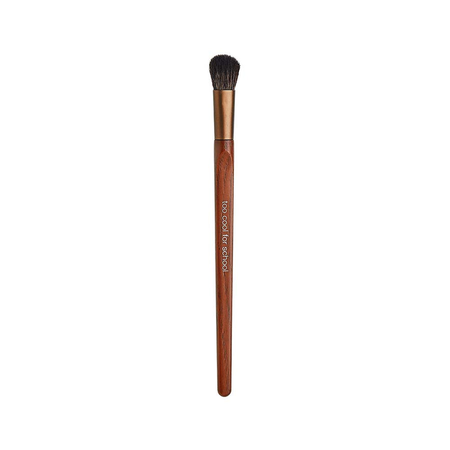TOO COOL FOR SCHOOL Artclass Vegan Eye Shadow Brush