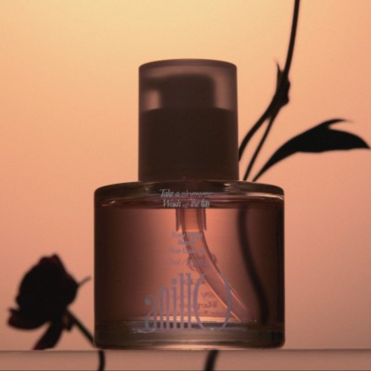 ANILLO Rosy Night Repair Hair Essence 50ml, flacon sur fond beige chaud avec feuilles noires en arrière-plan.