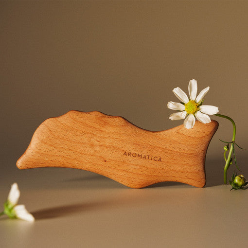 AROMATICA Dolphin Body Massager (L Size)