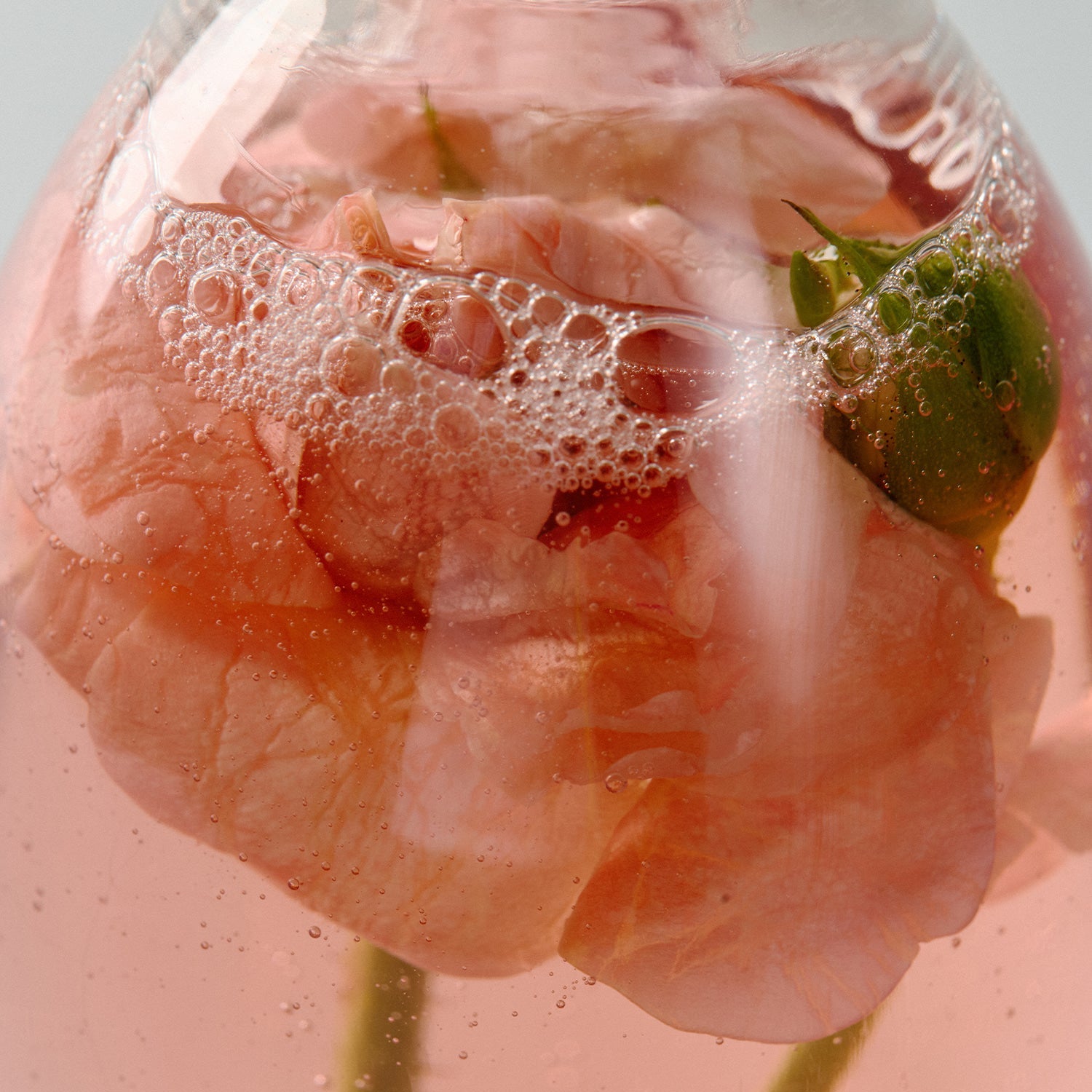 AROMATICA Grace Perfume Body Lotion Rose & Geranium 300ML