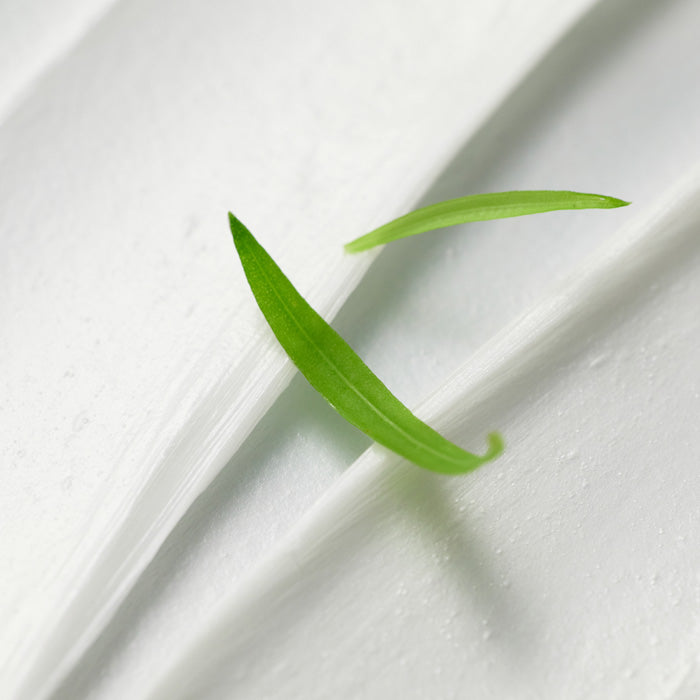 BLITHE Anti-Pollution Aging Pore Cleansing Foam BHA 0.5 150ml