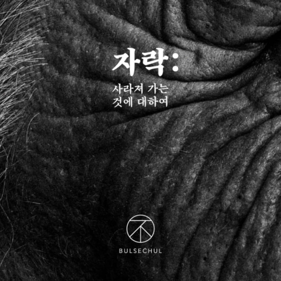 BULSECHUL - [: ] - Album Kpop