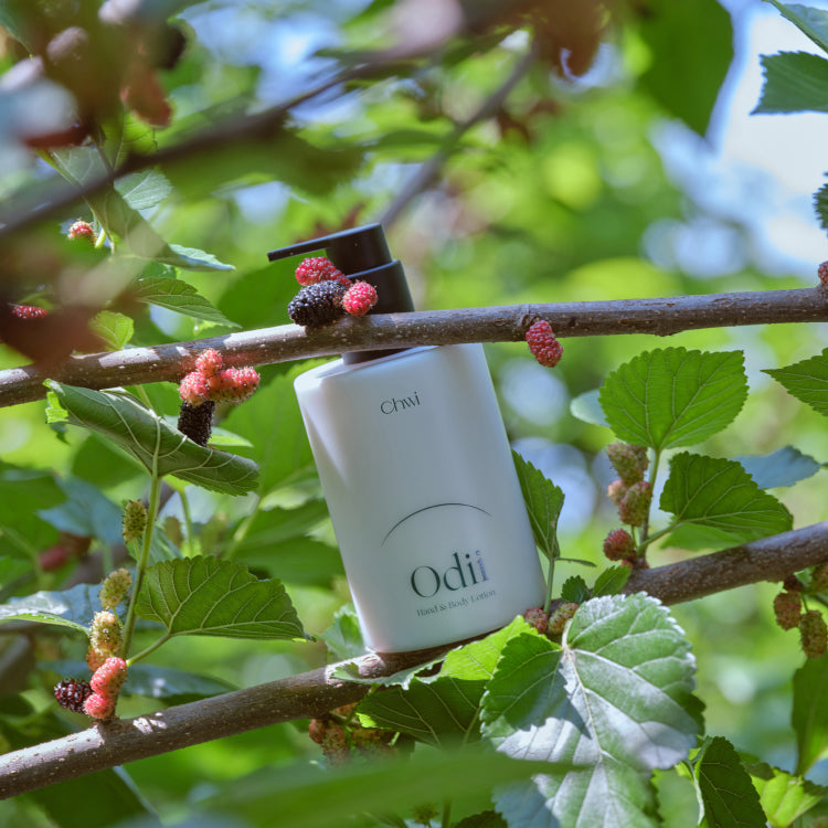 CHWI (CHI) Odii Hand & Body Lotion 300ml, bouteille sur branche en fruits rouges, décor nature au jardin, marque CHWI