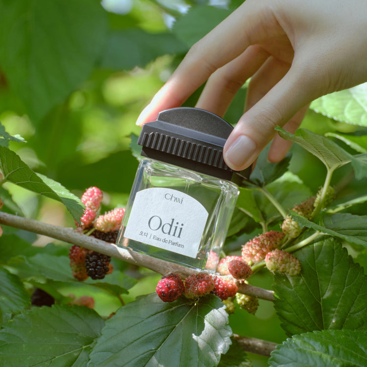 CHWI (CHI) Odii Parfume 50ml en flacon, main tenant le capuchon sur feuilles vertes et baies en extérieur.