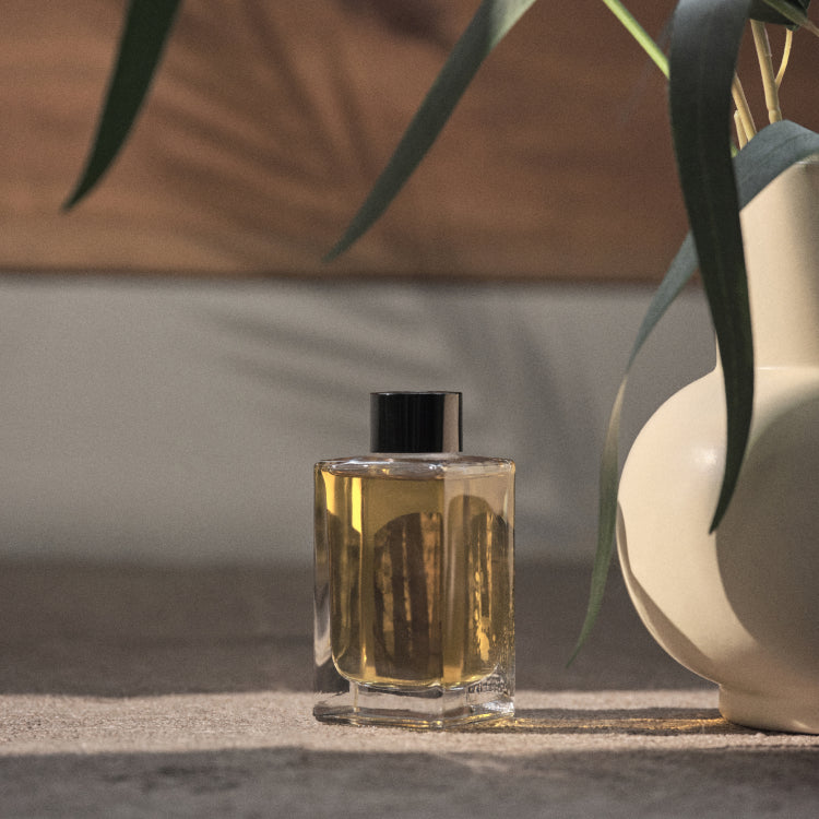 CHWI (CHI) Dae Namu Diffuser 100ml