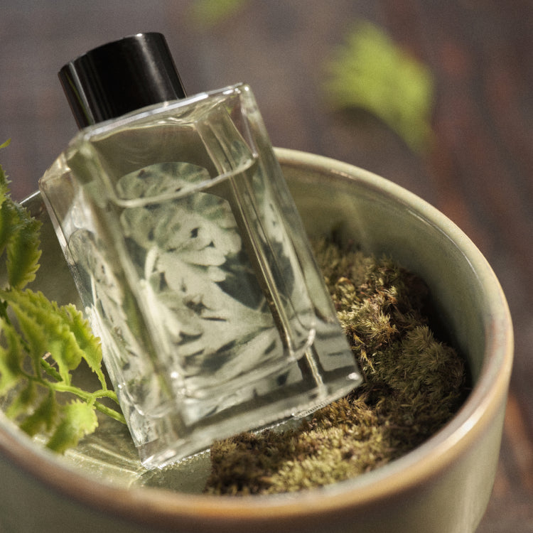 CHWI (CHI) Ssook Diffuser 100ml