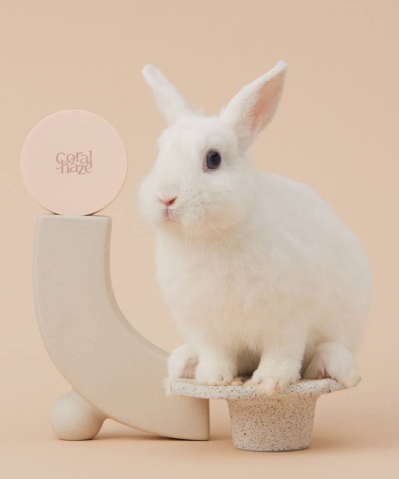 Lapin blanc avec CORALHAZE Fixing Blur Cushion SPF50 PA++++ 13g, beauté et douceur réunies.
