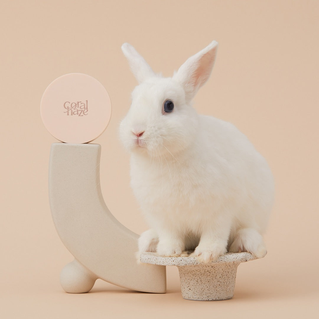 CORALHAZE Fixing Blur Cushion SPF50 PA++++ 13g