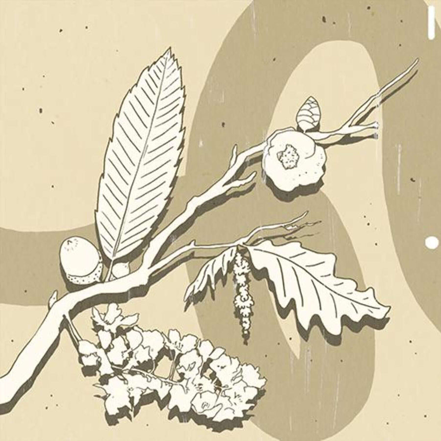 GUNWOO - [SEASONS] - Album Kpop
