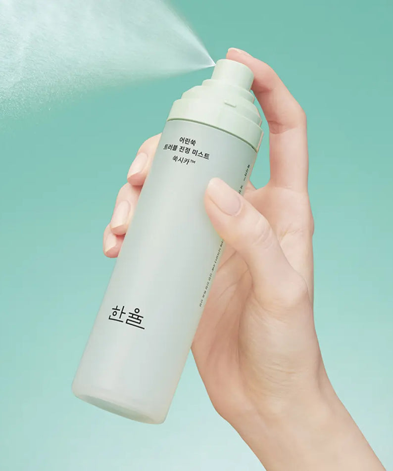 HANYUL Young Artemisia Trouble Mist 120ml, flacon brume anti-imperfections HANYUL, main tenant le produit sur fond turquoise