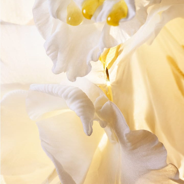 HERA  Signia Illuminating Serum 30ml sur fond lumineux, marque et contexte visuel : mains en gants blancs.