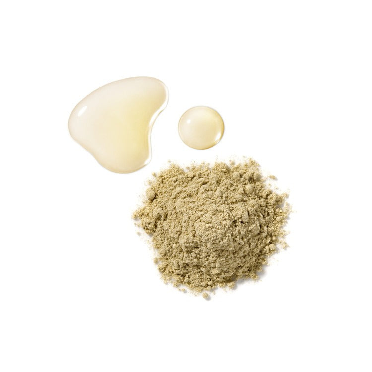 HOLITUAL Clean Therapy Powder Mask de la marque HOLITUAL : poudre verte et gel crème sur fond blanc, rendu produit