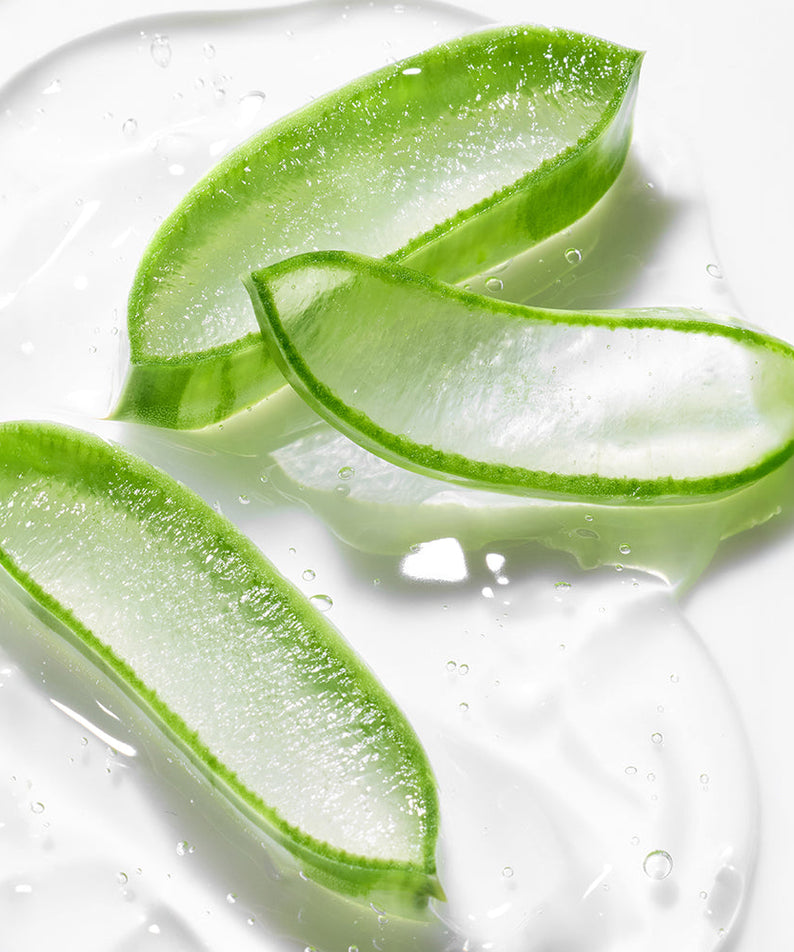 INNISFREE Aloe Revitalizing Soothing Gel 300ml : gel apaisant à l’aloe vera, photo sur fond blanc avec feuilles vertes.