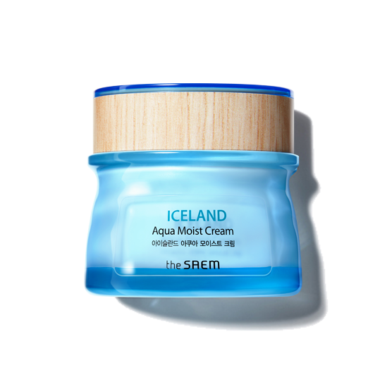 THE SAEM  Iceland Aqua Moist Cream 60ml