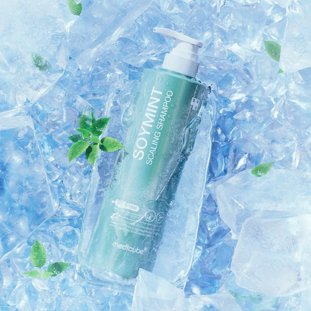 MEDICUBE Soymint Scaling Shampoo 490ml en bouteille bleue, sur fond glace avec feuilles, look rafraîchissant